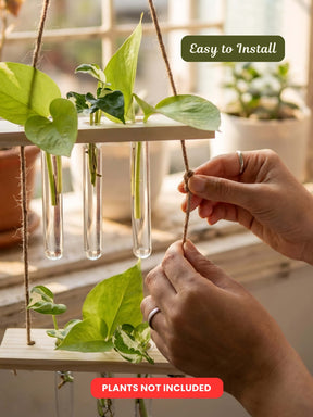2 Tier Wooden Hanging Planters with Test Tubes