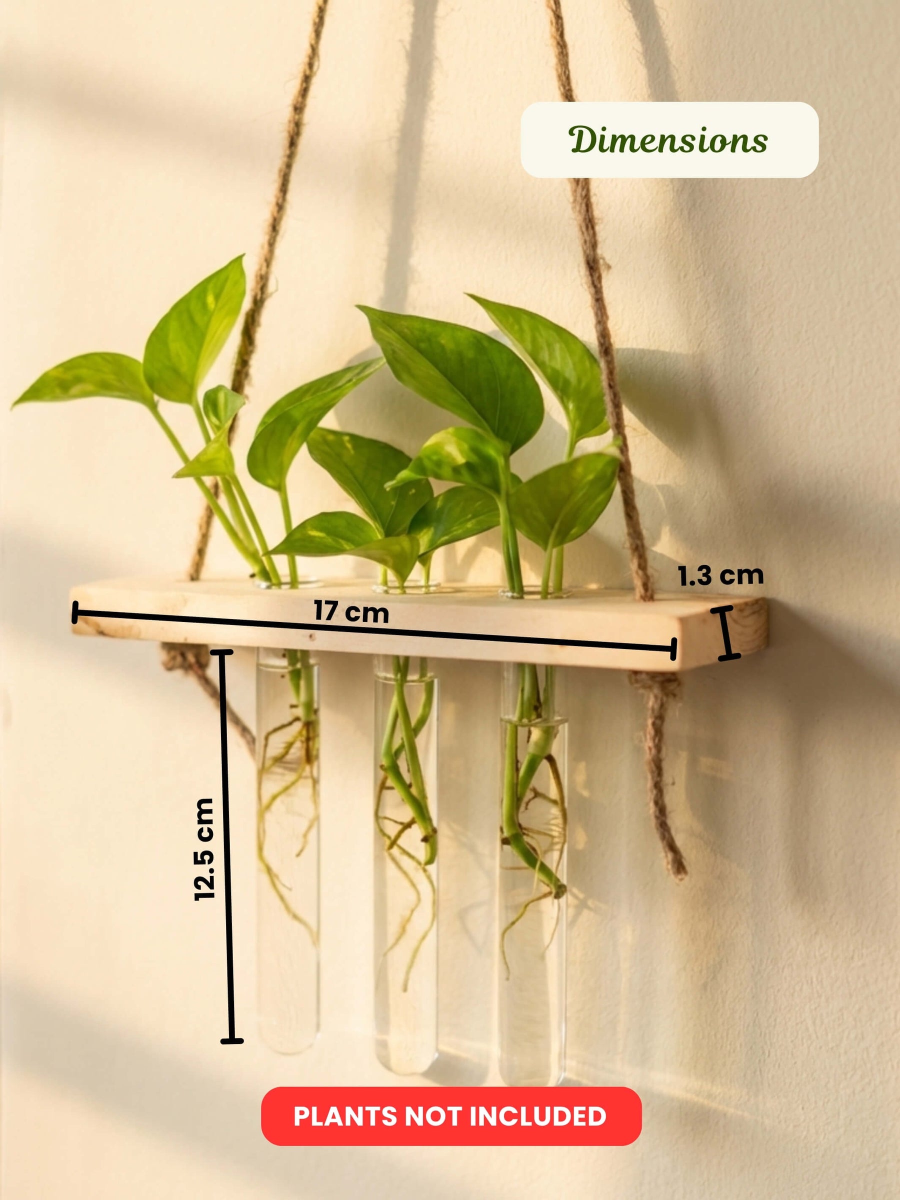 Wooden Hanging Planter for Home | Pack of 50