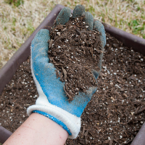 potting soil