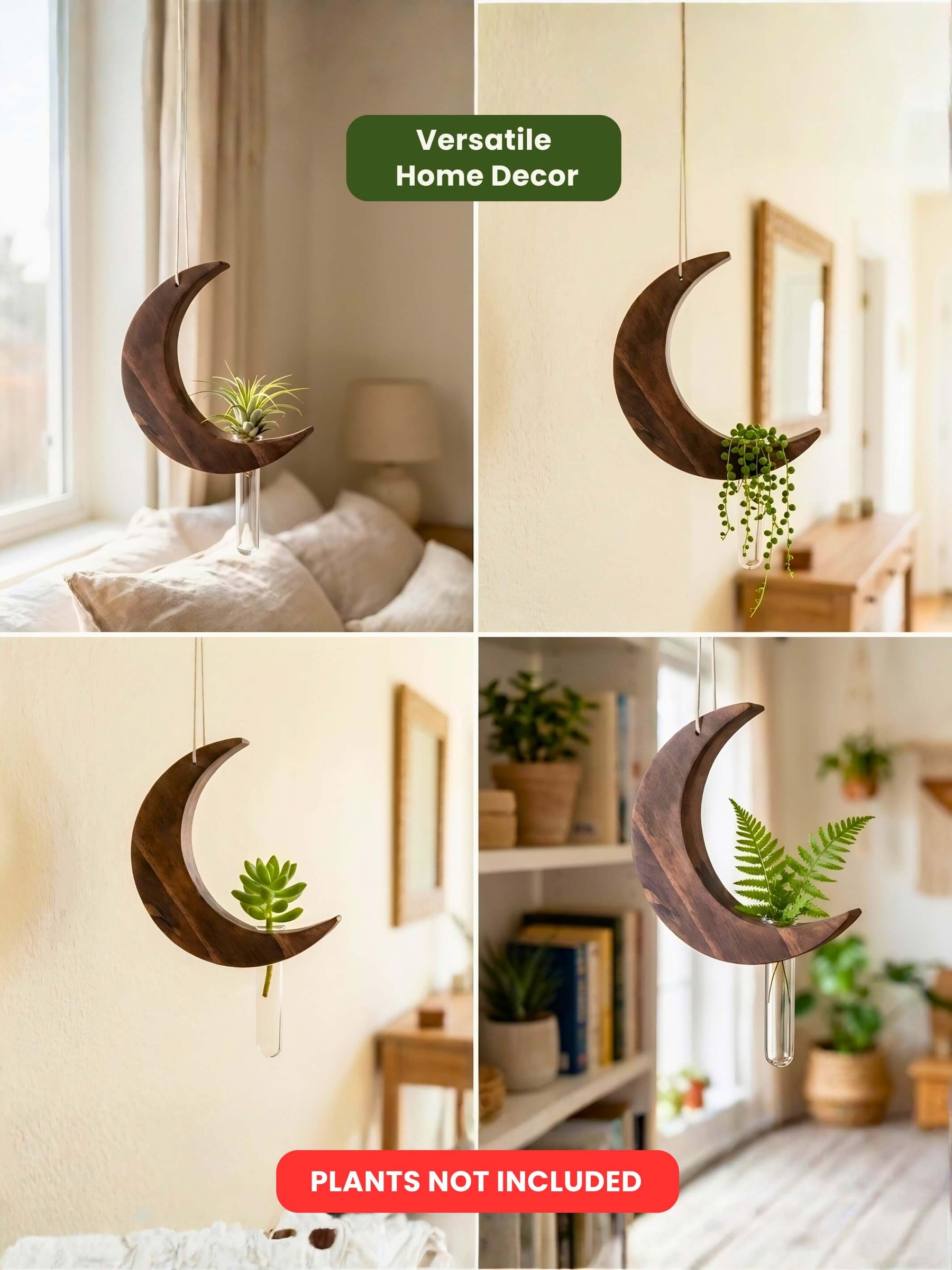 Moon-Shaped Wooden Test Tube Planter