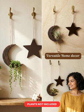 Star-Moon Wooden Test Tube Planter