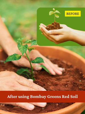 Red Soil for Plants | 100% Natural Organic Red Soil for Gardening