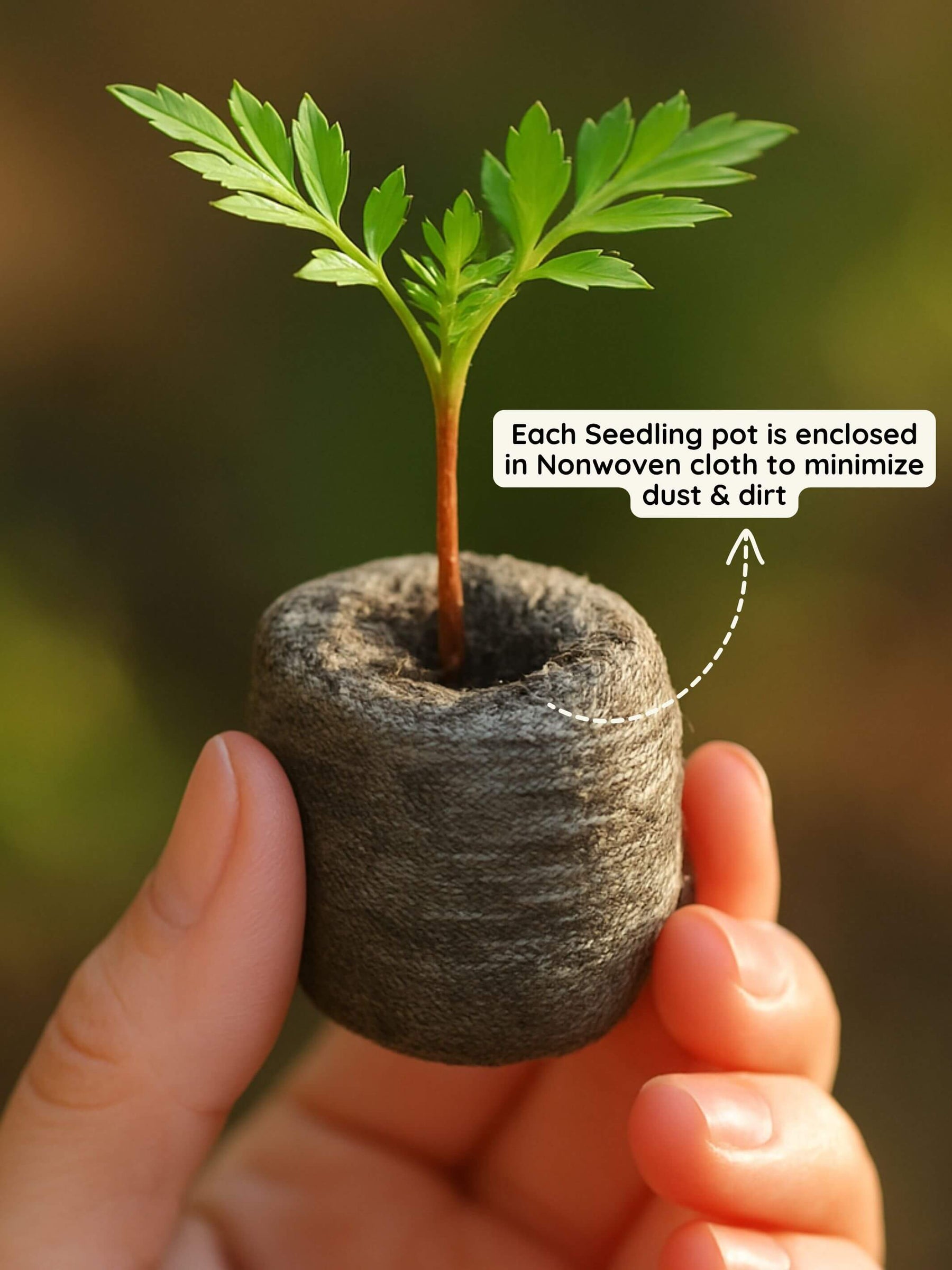 Organic Netted Cocopeat Coir Discs | Fast Seed Germination