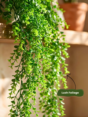 Artificial Hanging Plants – Pack of 2 | Low Maintenance Home Décor