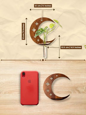 Lunar Wooden Test Tube Planter - 1 pc