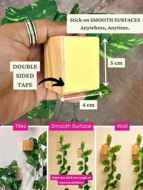 Mini Wall Wooden Planter with Money Plant - 3 pieces