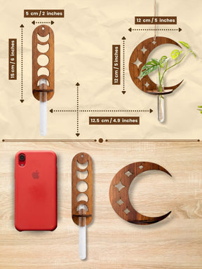 Celestial Moon Wooden Wall Planter - Combo