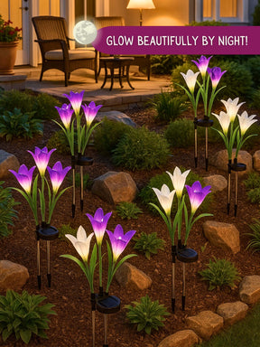 Solar LED Garden Lights | Pack of 2