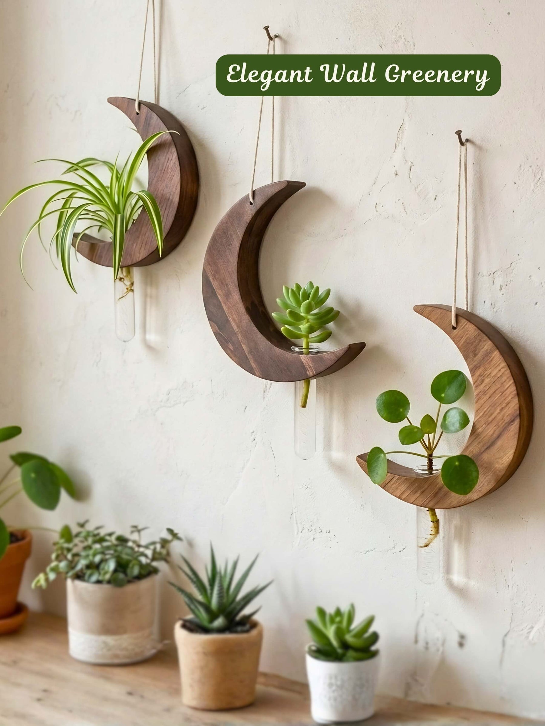 Moon-Shaped Wooden Test Tube Planter - Set of 2