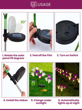 Solar LED Garden Lights | Pack of 2