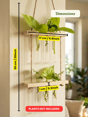 2 Tier Wooden Hanging Planters with Test Tubes