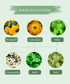 Beginners Kit for Gardening - Organic Soil, Fertilizer, Neem Oil