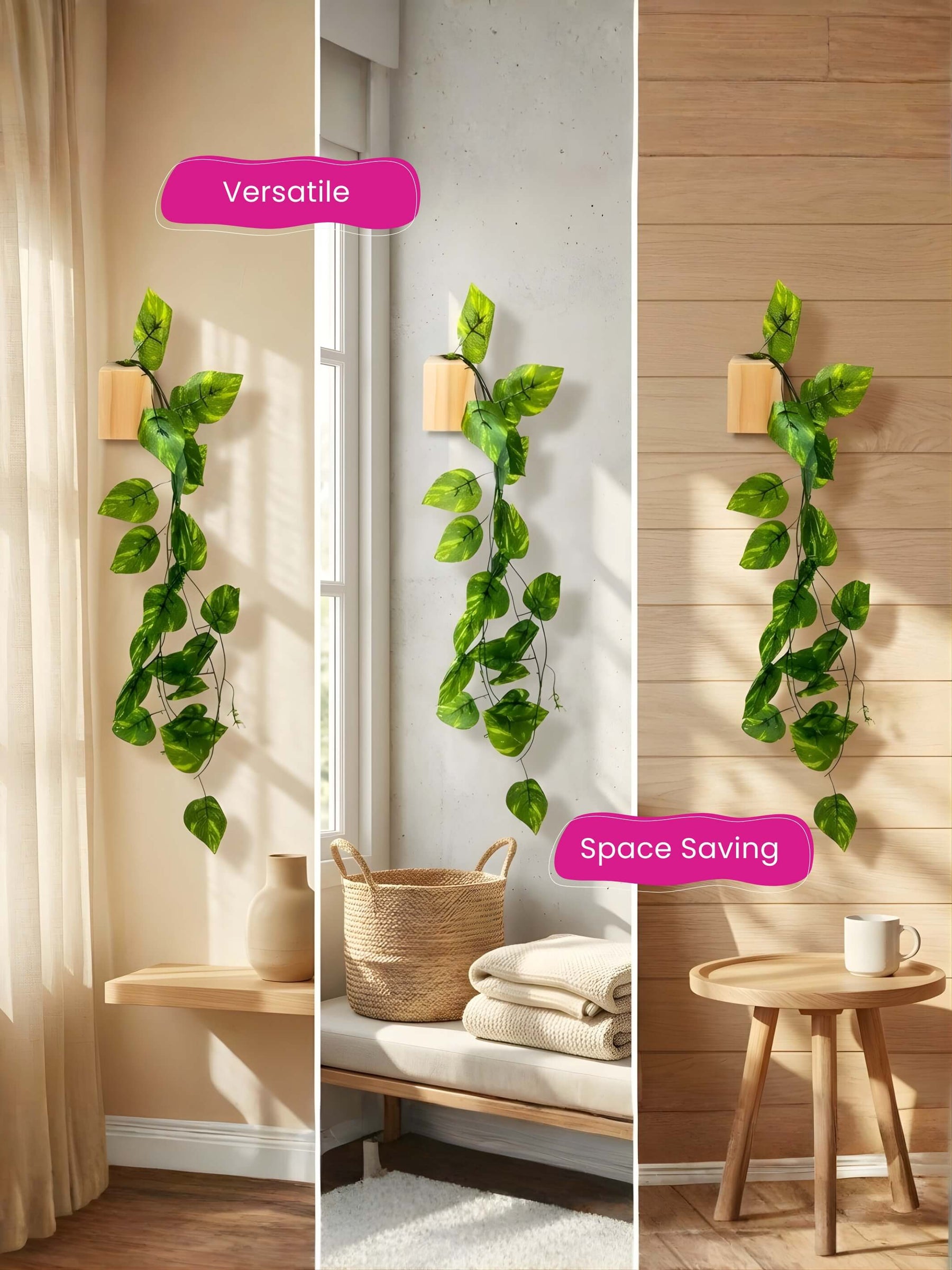 Mini Wall Wooden Planter with Money Plant - 3 pieces
