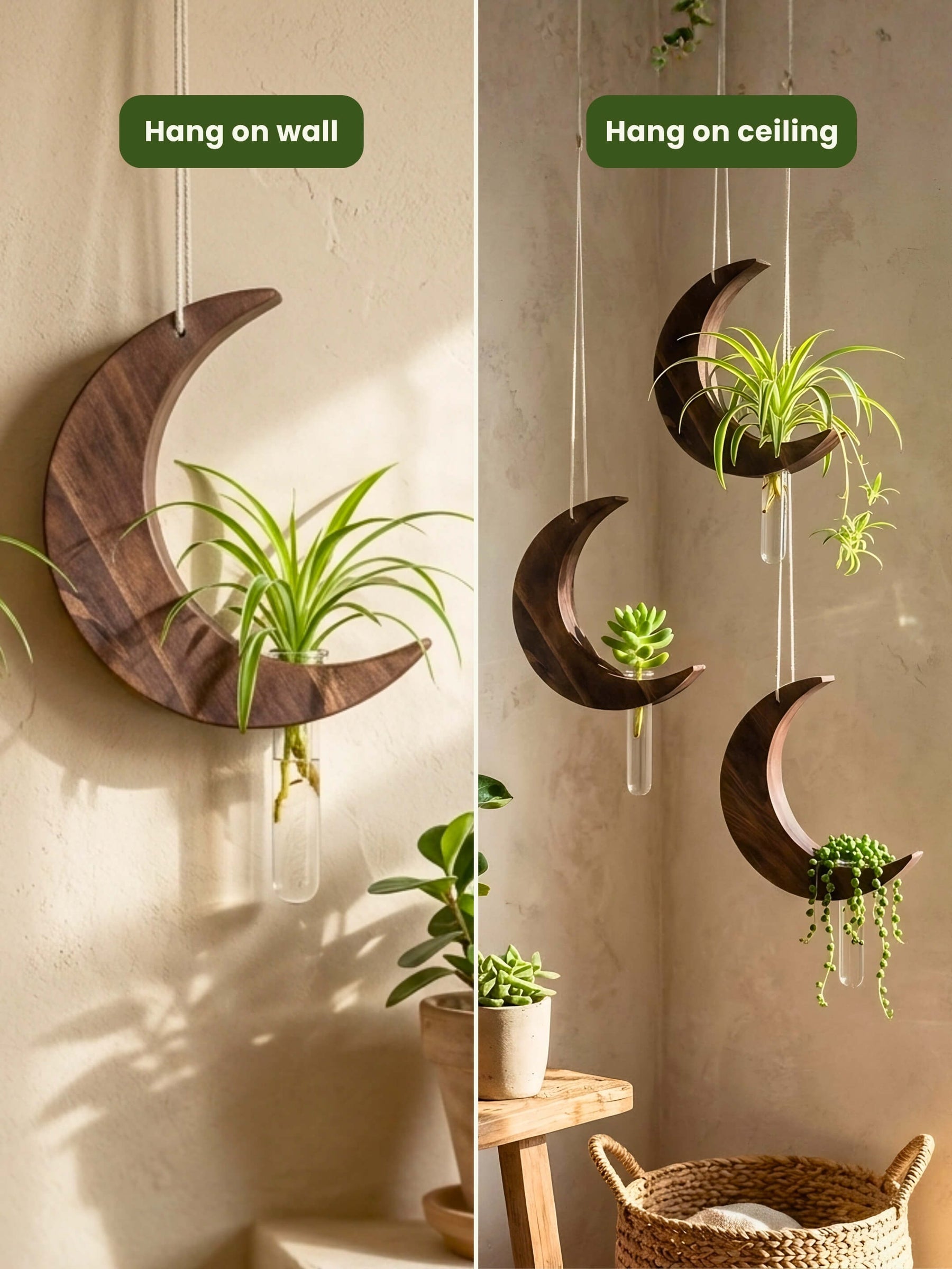Moon-Shaped Wooden Test Tube Planter