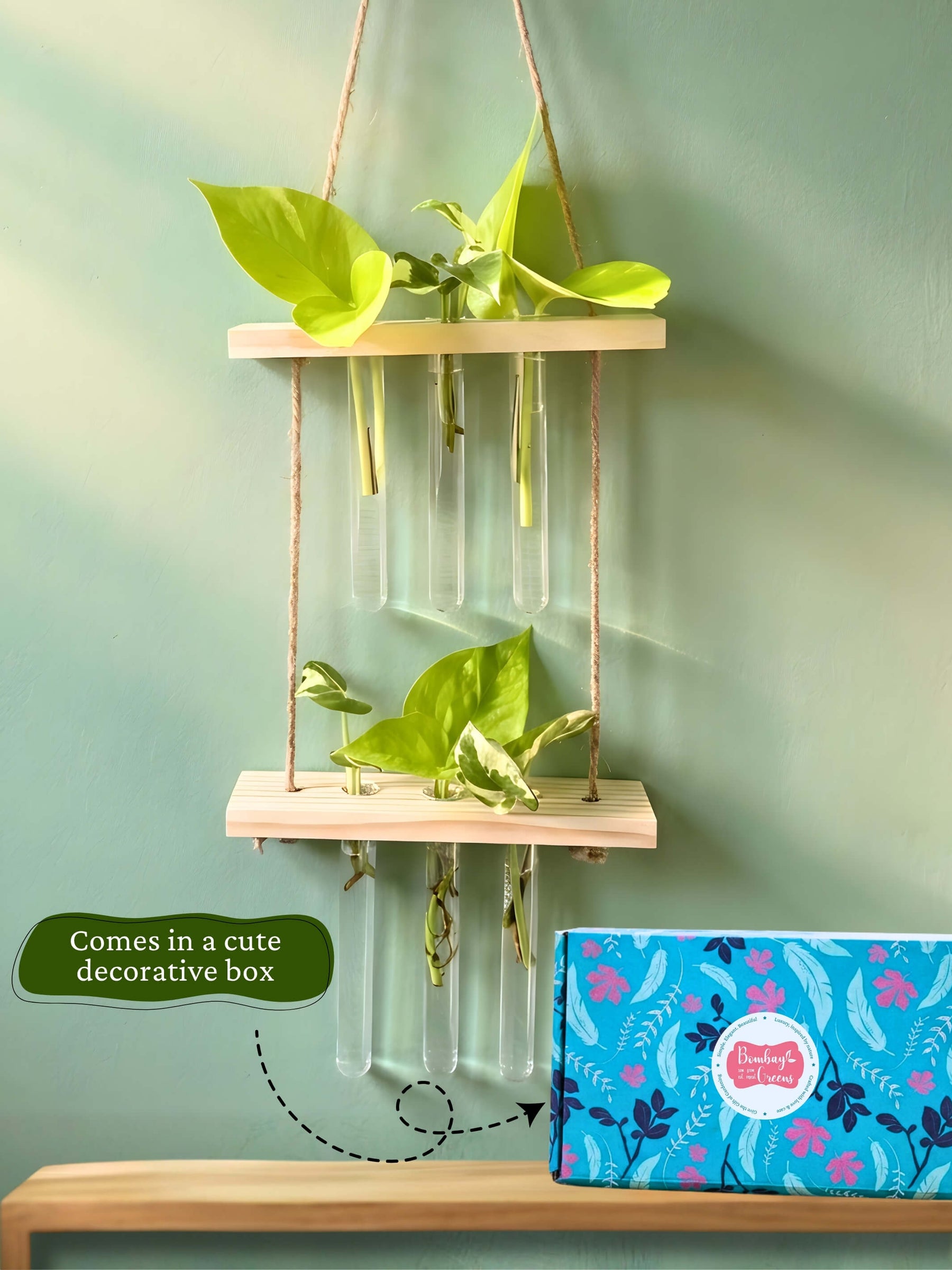 2 Tier Wooden Hanging Planters with Test Tubes