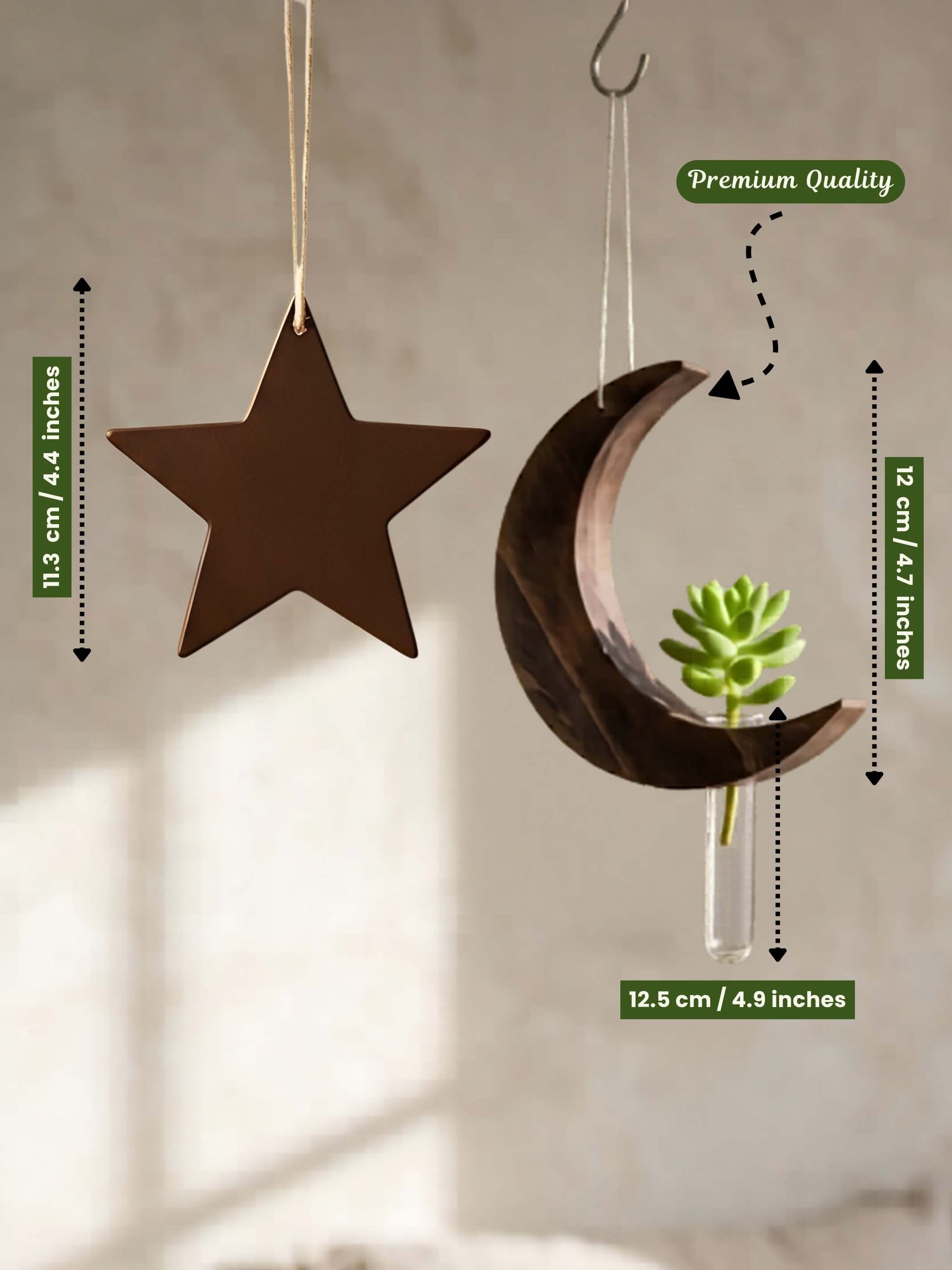 Star-Moon Wooden Test Tube Planter