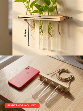 Wooden Hanging Planter for Home | Aesthetic Plant Décor