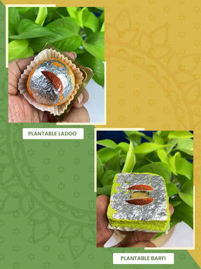 Wedding Gift - Plantable Mithai Gift Hamper