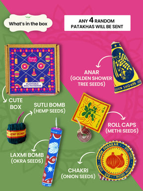 4 in 1 Beej Patakhas - Plantable Cracker Diwali Gift Hamper