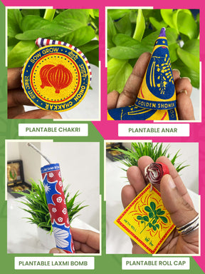 4 in 1 Beej Patakhas - Plantable Cracker Diwali Gift Hamper