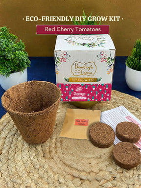 DIY Red Cherry Tomatoes Gardening Kit (Pack of 20) - Customised Gifting