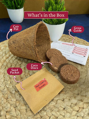 DIY Red Cherry Tomatoes Gardening Kit (Pack of 20) - Customised Gifting