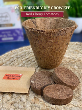 DIY Red Cherry Tomatoes Gardening Kit (Pack of 20) - Customised Gifting