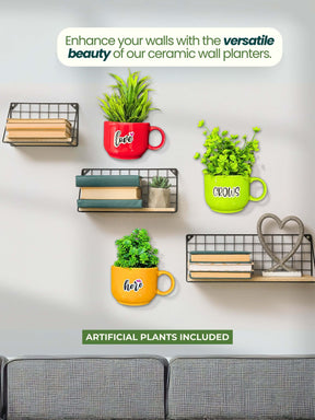With Artificial Plants