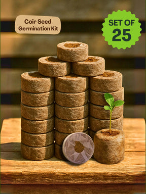 Organic Netted Cocopeat Coir Discs | Fast Seed Germination