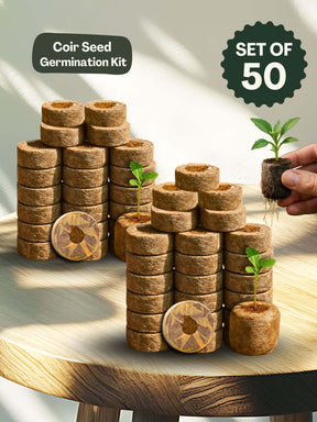 Organic Netted Cocopeat Coir Discs | Fast Seed Germination