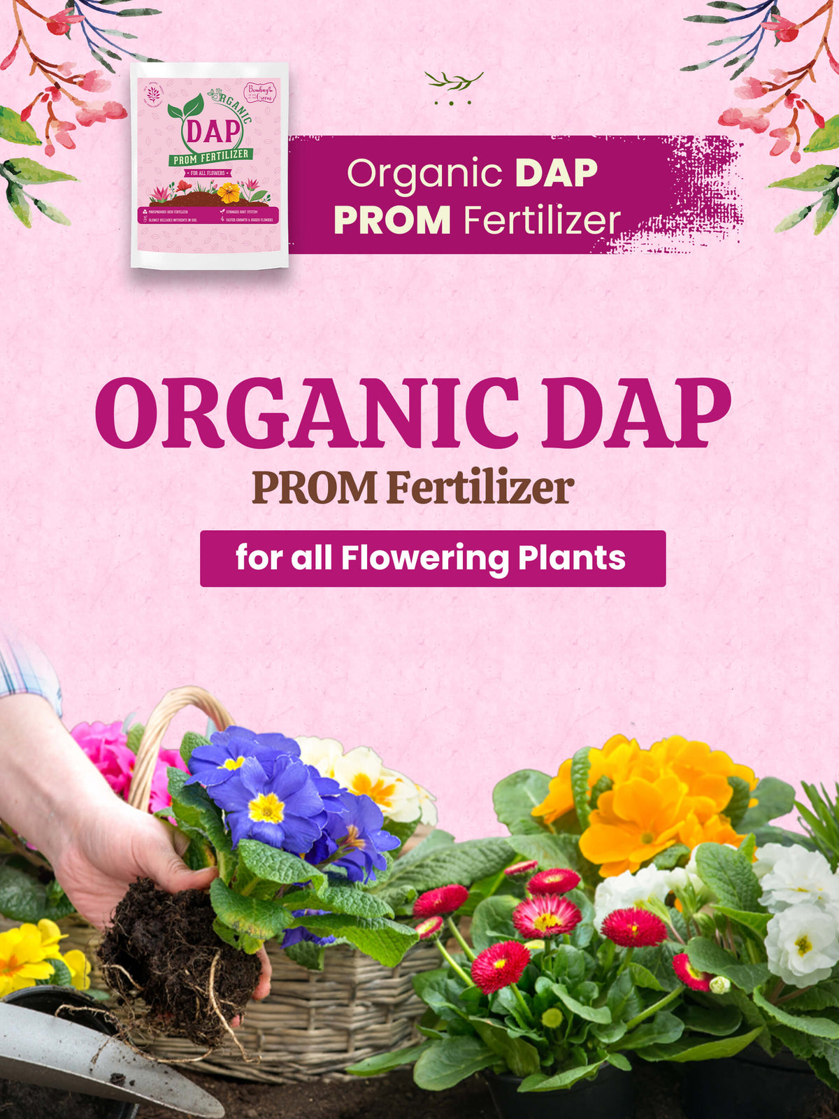 Organic DAP PROM Fertilizer for Roses & Flowers - 900 Grams