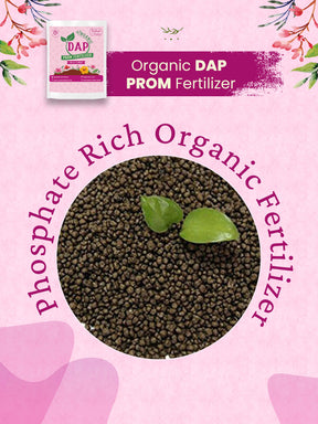 Organic DAP PROM Fertilizer for Roses & Flowers - 900 Grams