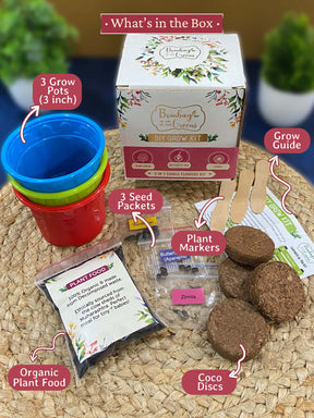 Grow Kits - Edible Flowers, Pizza & Indian Flavours (Pack of 3)