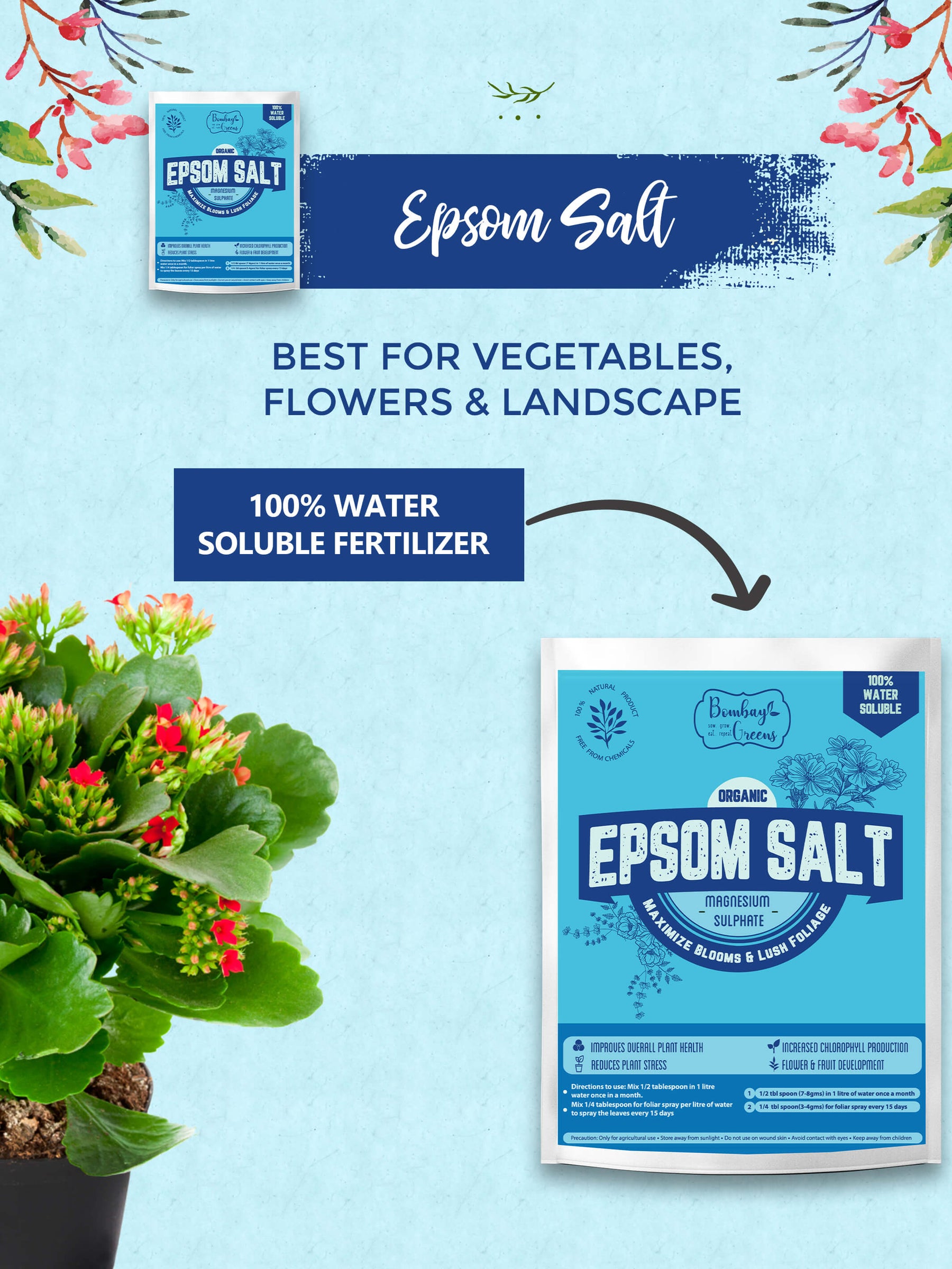 Epsom Salt - Magnesium Sulphate for Better Plant Growth - 400gms