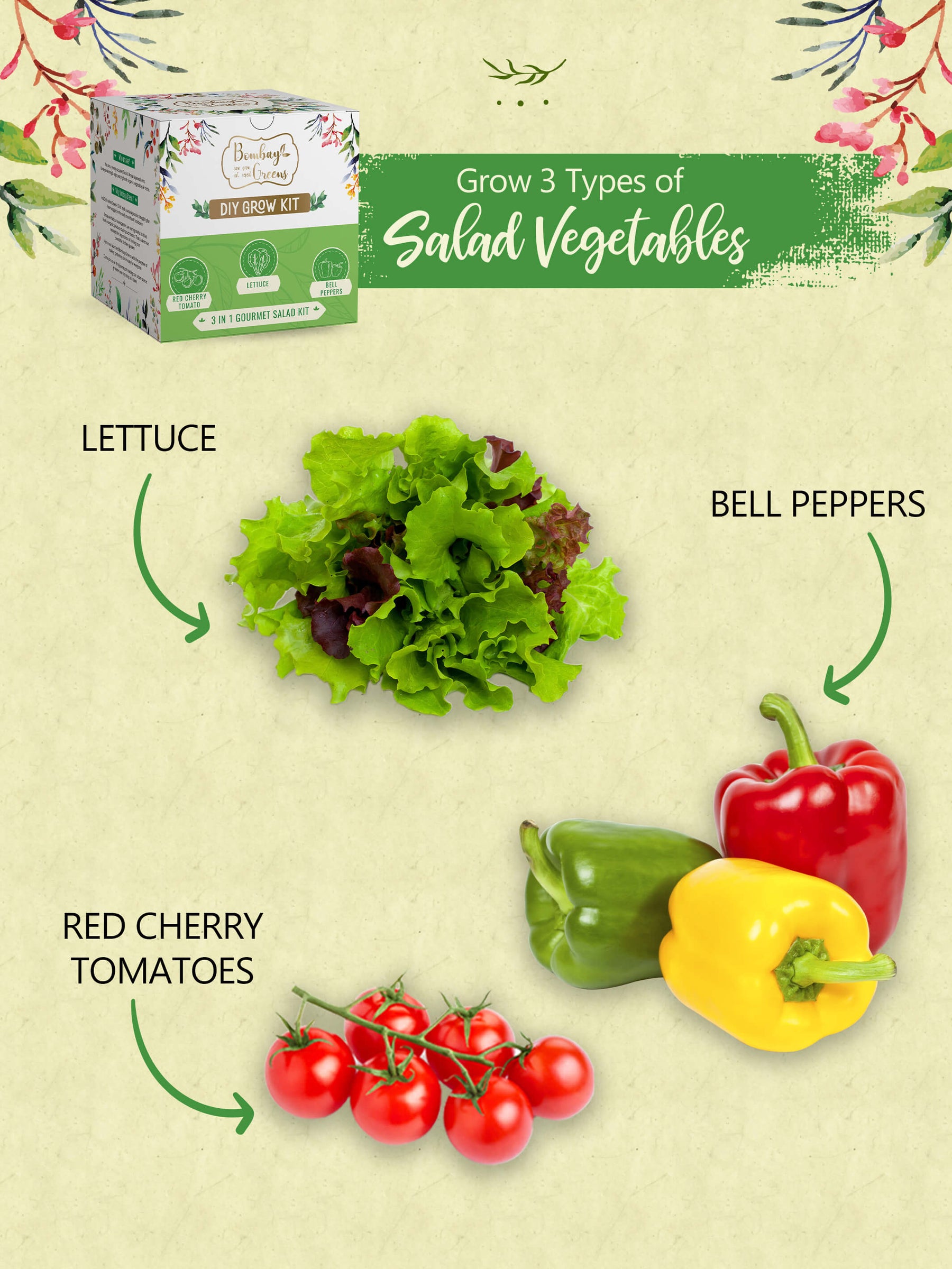 Salad Kit - Bell Peppers, Lettuce, Red Cherry Tomato