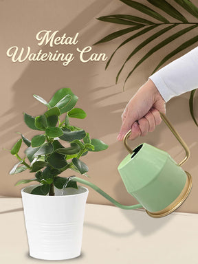 Metal Watering Can