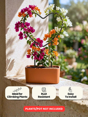 Heart-Shaped Metal Support Ring for Plants - Set of 2