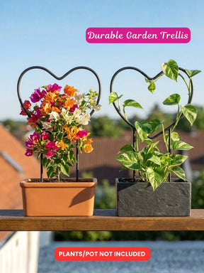 Heart-Shaped Metal Support Ring for Plants - Set of 2