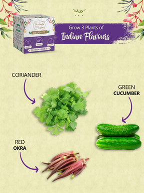 Grow Kits - Edible Flowers, Pizza & Indian Flavours (Pack of 3)