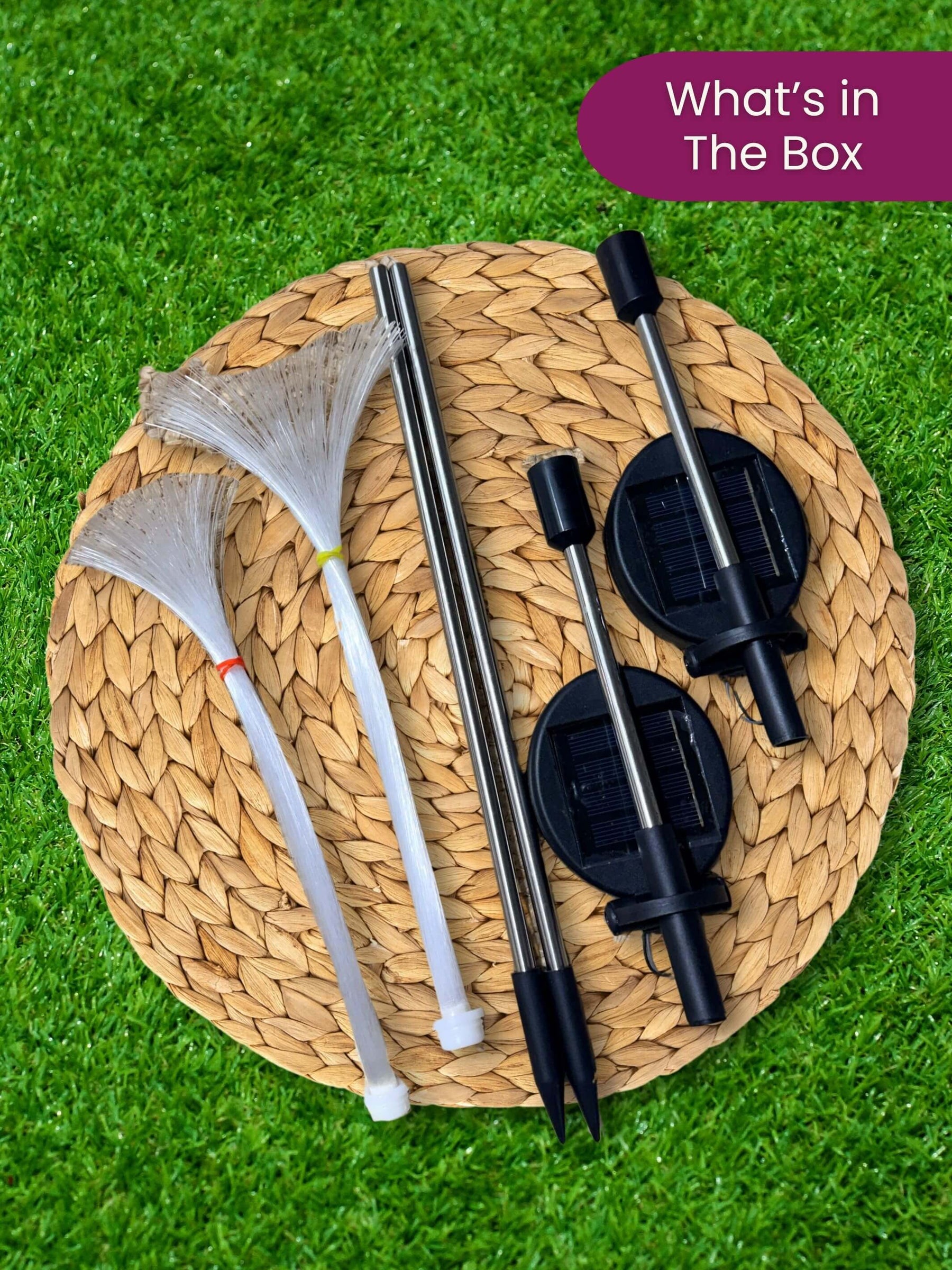 Solar Jellyfish LED Garden Lights | Pack of 2