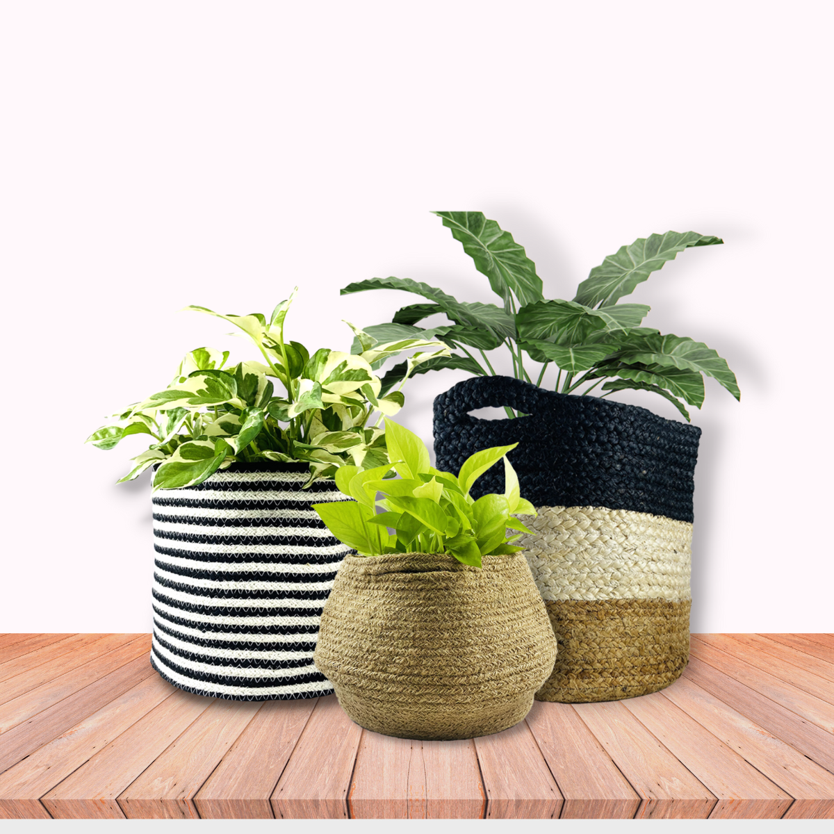jute bags for plants,jute bag planters
