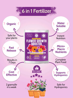 Beginners Kit for Gardening - Organic Soil, Fertilizer, Neem Oil