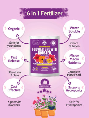 best plant liquid fertilizer Flower Liquid Fertilizer + Indoor Plant Fertilizer