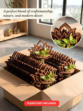 Wooden Lotus Test Tube Planter - 100 pcs