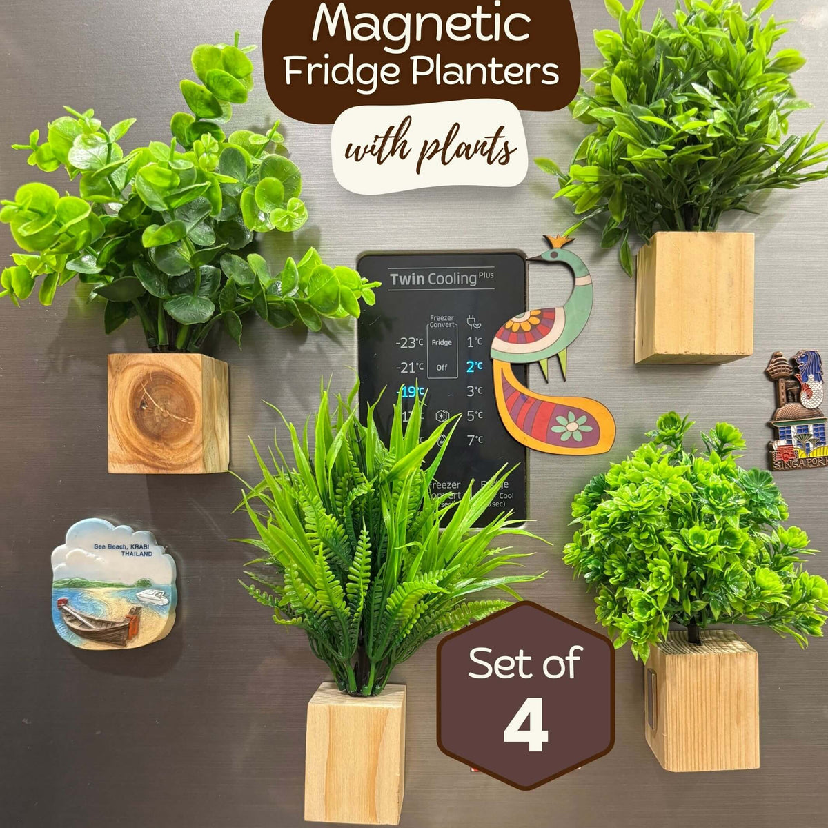 Buy Wooden Magnetic Fridge Planter & Pots