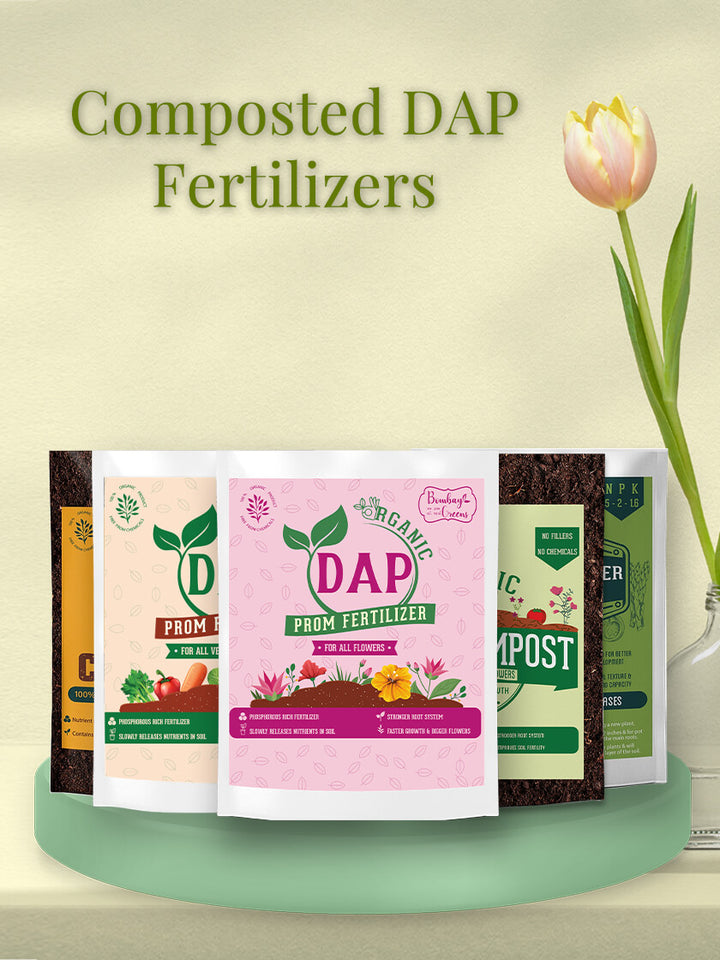 best fertilizer for indoor plants in india Indoor Plant Fertilizer - Best Fertilizer for Plants