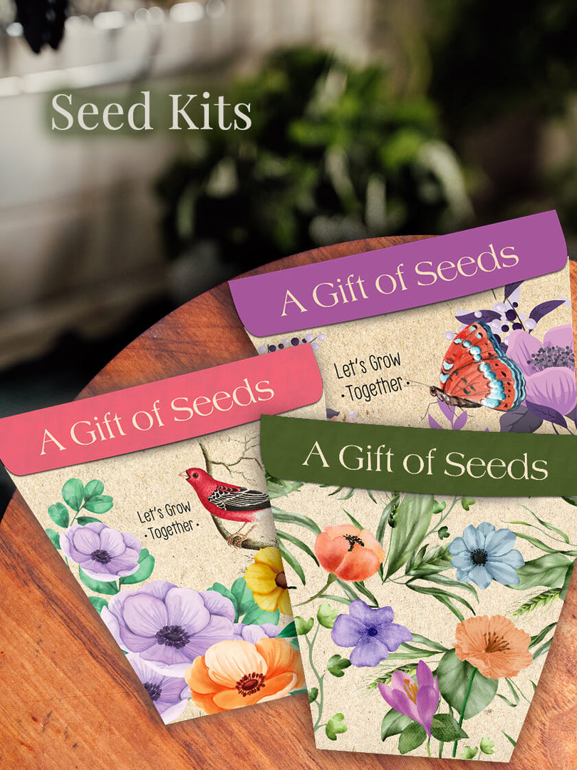 Buy Seed Packets