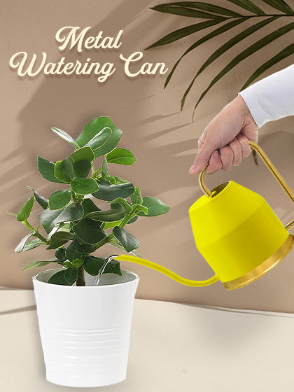 Metal Watering Can - Lifestyle