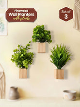 Mini Wall Wooden Planter with Plants - 3 pieces