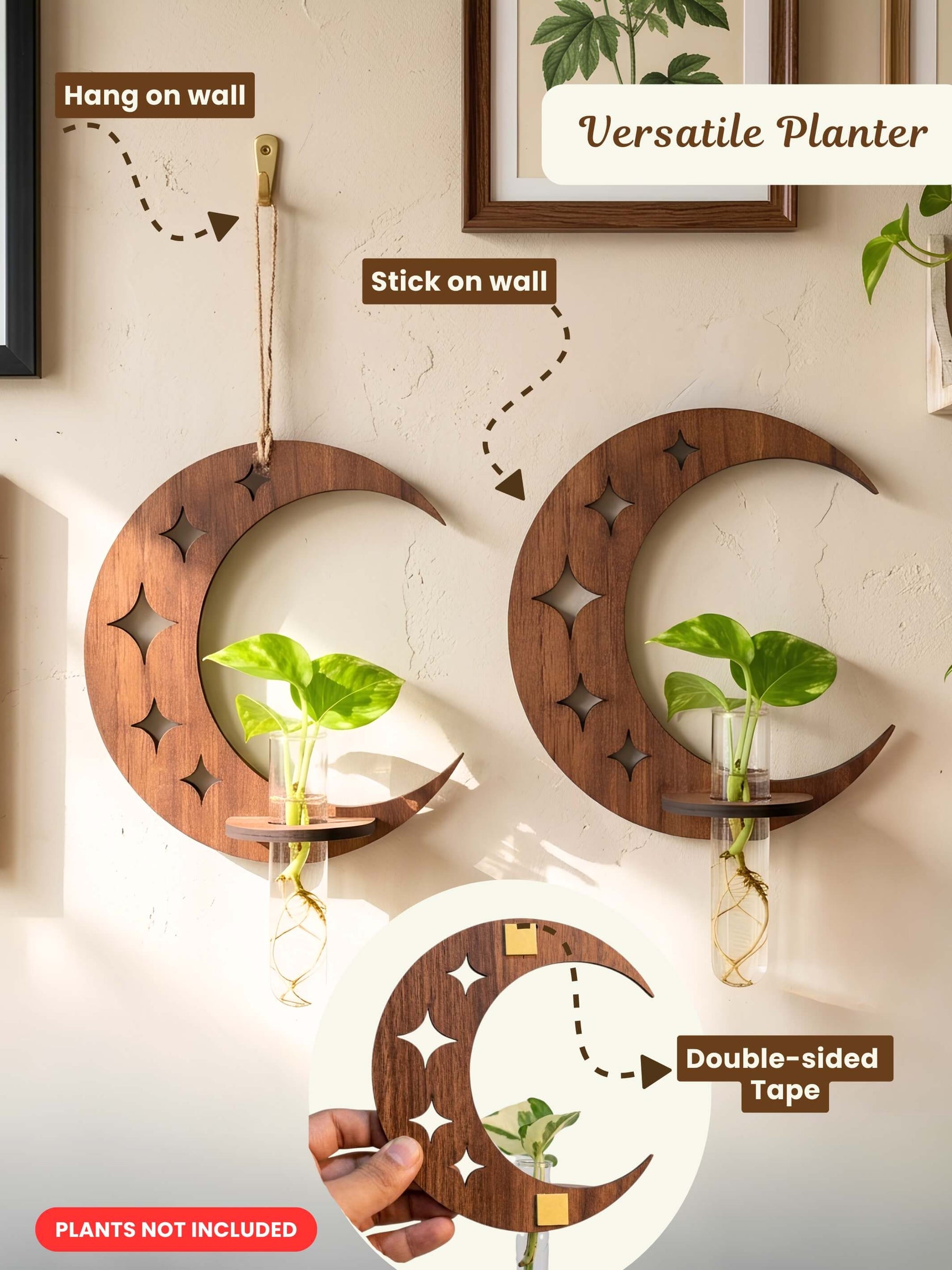 Lunar Wooden Test Tube Planter - 1 pc